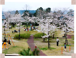 丸山公園